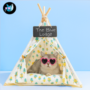 Magasin pour animaux - boutique chiens et chats