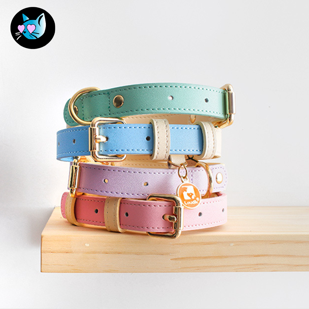 Blue Loop — Collier en cuir véritable pour chiens et chats