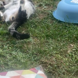 0020BD6A-D1C8-4851-9243-42653690DFEF_1_105_c