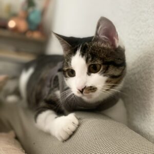 3587D431-EE12-44A2-A8E5-54C9FD6830A4_1_105_c