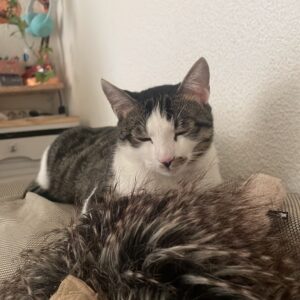 6255F7B1-FE35-4BD0-B27C-72F4526CA4DB_1_105_c