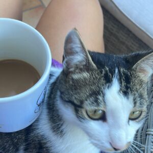 F311DDAC-89A1-4A0F-9902-85C8A18E731B_1_102_o