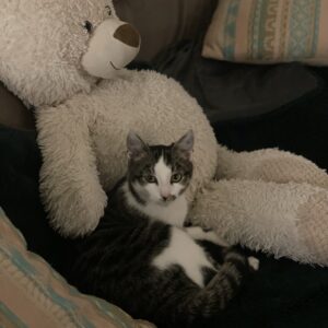 F74DACD0-3C9E-4C8D-9122-201EC6AFCE73_1_105_c